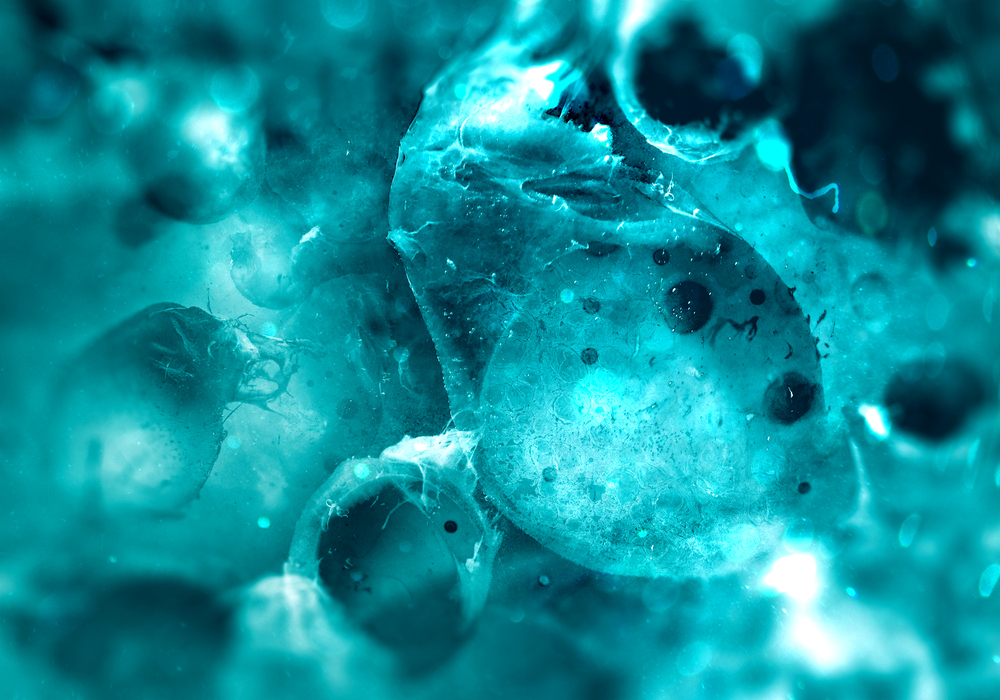 From Living Tissue to Precision Treatment: How SLiCE Is Transforming Brain Cancer Research